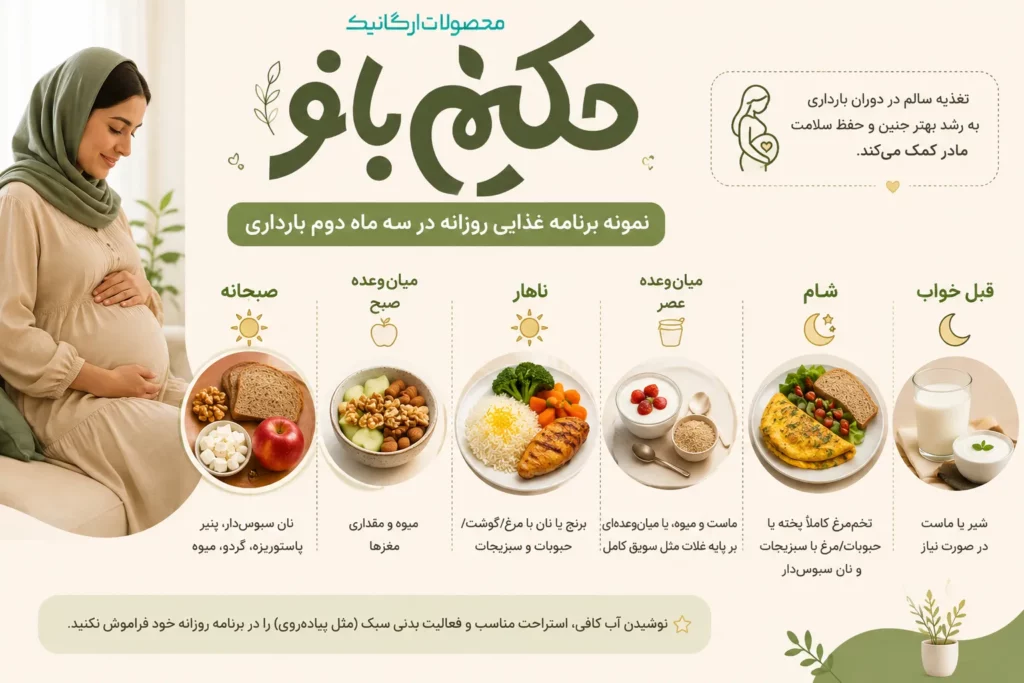 تغذیه در سه ماه دوم بارداری