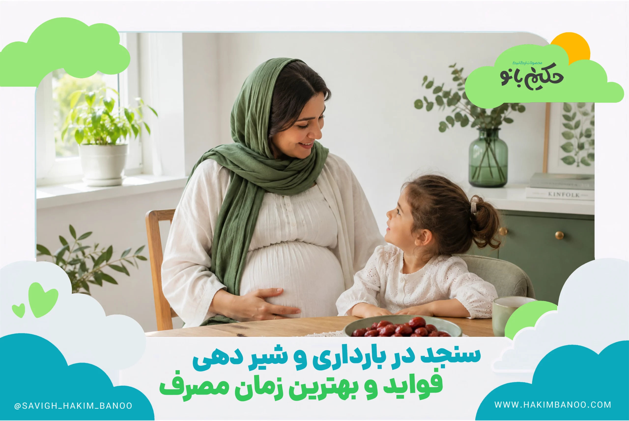 سنجد در بارداری و شیر دهی ؛ فواید و بهترین زمان مصرف