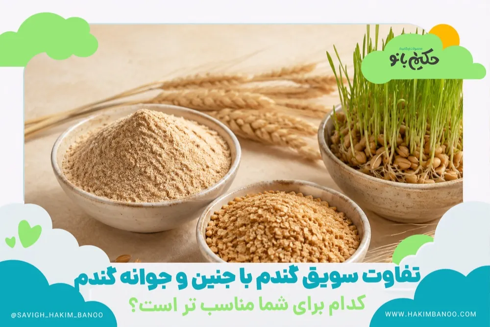 تفاوت سویق گندم با جنین گندم و جوانه گندم